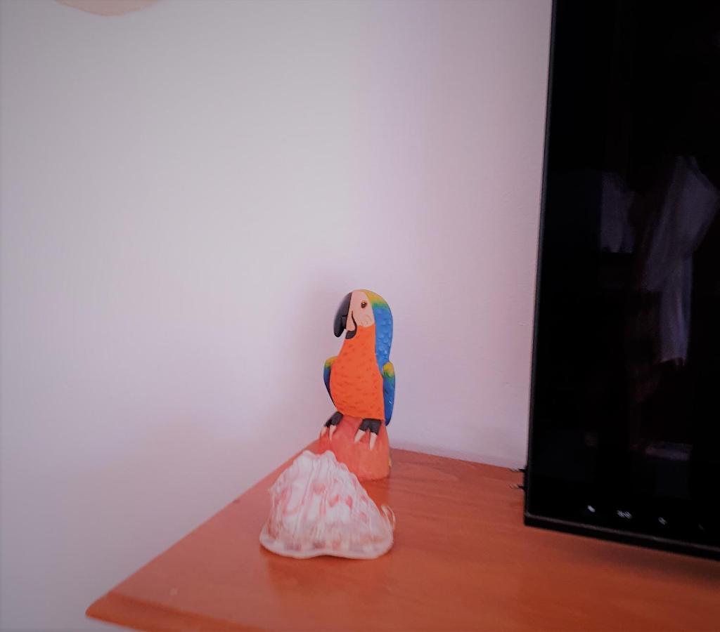 Apartamentos La Libertad Estepona Dış mekan fotoğraf